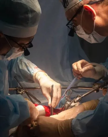 Фото: <a href=https://t.me/andrey_tarasov_mzk/667>Андрей Тарасов</a> / Телеграм