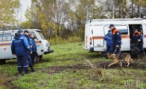 Волонтёры сообщили о завершении поисков 14-летней школьницы в Кузбассе