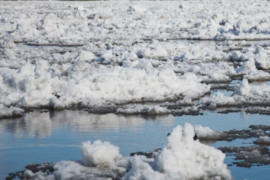 Российские ледоколы помогают застрявшим в заливе финским судам