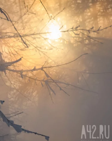До -46: синоптики рассказали, где в ночь на 16 января в Кузбассе было холоднее всего
