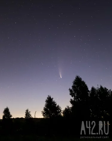 Фото: А42.RU