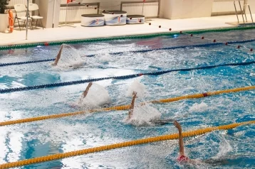Фото: В Кемерове пройдут Всероссийские соревнования по плаванию  1
