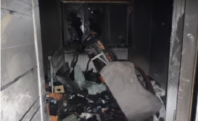 Кемеровчанин из мести поджёг квартиру бывшей возлюбленной: погиб кот