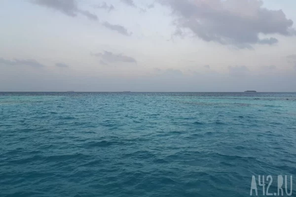 После заявлений Трампа о блокаде Ормузского пролива подорожала нефть