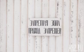 Очередной карантин по бешенству объявили в селе Беловского округа 