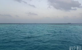 После заявлений Трампа о блокаде Ормузского пролива подорожала нефть