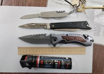Фото: Житель Кемерова попытался пронести арсенал ножей в здание суда 1