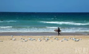 Число погибших в результате теракта на пляже в Сиднее возросло до 12