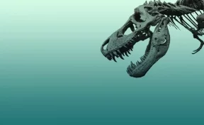 В США найдены останки утконосого динозавра