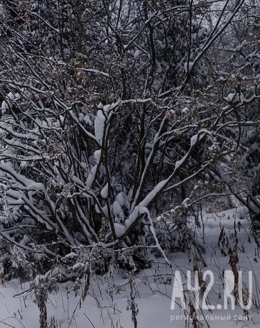 Амвросиев день: народные приметы на 20 декабря