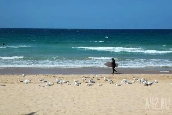 Число погибших в результате теракта на пляже в Сиднее возросло до 12