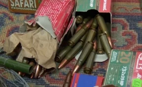 Целый арсенал оружия изъяла полиция у кузбасского коллекционера 