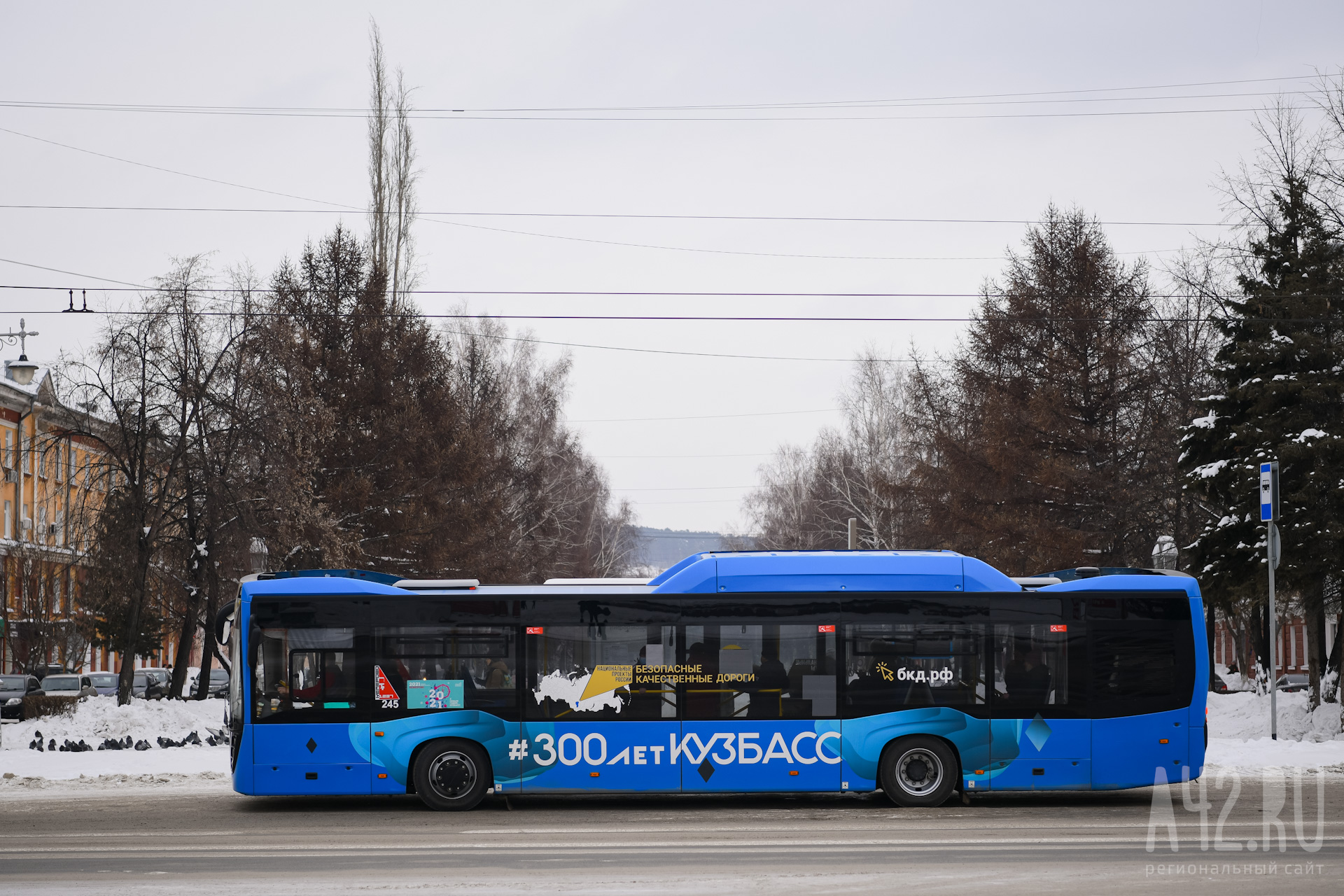 Стало известно, кто испортил сиденья автобуса в Кузбассе
