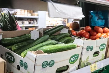 Фото: Огурцы, помидоры и апельсины: какие продукты резко подешевели за месяц в Кузбассе 1