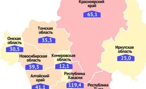 Кузбасс отличился в рейтинге регионов Сибири по индексу заражённых коронавирусом