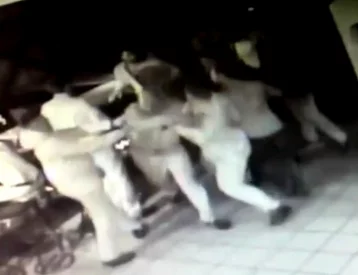 Фото: Потасовка в ночном клубе в Кузбассе попала на видео 1