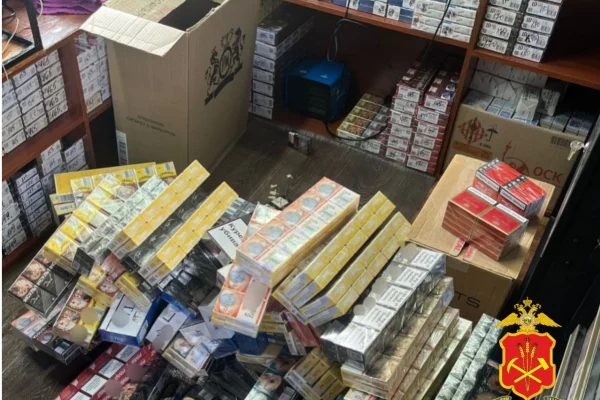 В Кузбассе полицейские изъяли около 8 000 пачек нелегальных сигарет