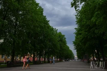 Фото:  В МЧС предупредили жителей Кузбасса о шквалистом ветре, грозах и граде 1
