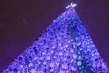 Фото: Кемеровская ёлка за 18 млн вошла в топ-20 новогодних елей России 1