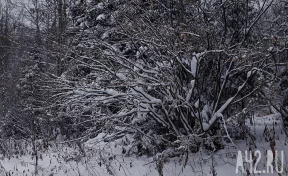 Амвросиев день: народные приметы на 20 декабря