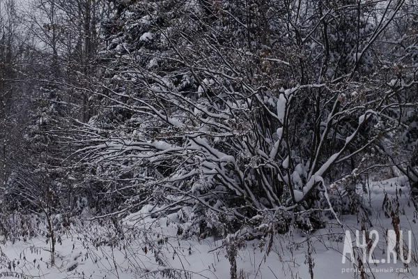 Амвросиев день: народные приметы на 20 декабря