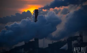 Учёный оценил загрязнение воздуха в 5 городах Кузбасса с помощью мха