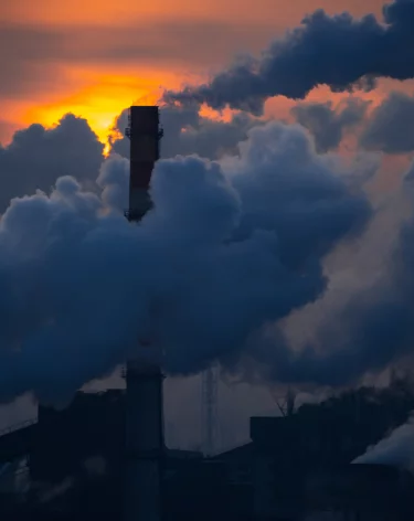 Учёный оценил загрязнение воздуха в 5 городах Кузбасса с помощью мха