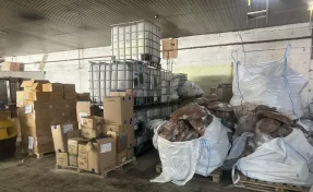 Во Владимирской области задержали группу производителей поддельного шоколада