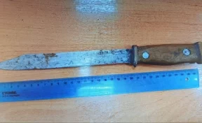 Кузбассовец грозил жене ножом и убил собаку: дело ушло в суд