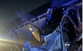 В Кузбассе 17-летняя девушка погибла в ДТП с лосем