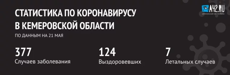 Фото: Коронавирус в Кемеровской области: актуальная информация на 21 мая 2020 года 1