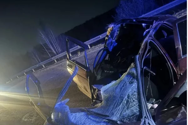 В Кузбассе 17-летняя девушка погибла в ДТП с лосем