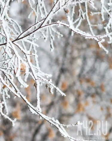 Фото: A42.RU