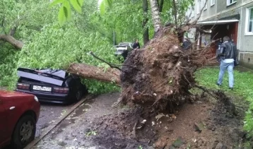 Фото: СКР: во время урагана погибли 15 человек, 200 получили травмы 1