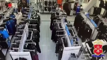 Фото: В Ленинске-Кузнецком женщина переодевалась мужскую одежду и похищала её 1