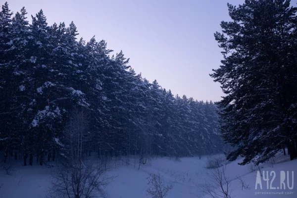 Зосима Пчельник: народные приметы на 17 января