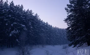 Зосима Пчельник: народные приметы на 17 января