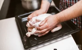 Россиян предупредили о невозможности купить куриное мясо без кишечной палочки