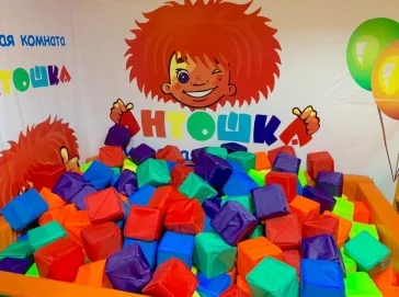 Фото: Где отметить день рождения ребёнка в Кемерове 3