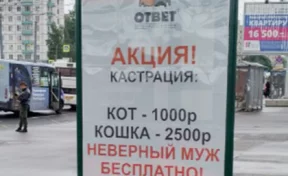 В Петербурге рекламу бесплатной кастрации неверных мужей сочли оскорбительной
