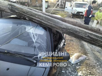 Фото: В Кузбассе деревянный столб упал на автомобиль 1