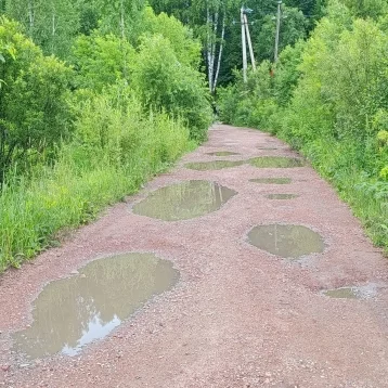 Фото: В Новокузнецком округе из-за дождей и разлива рек подтопило дачные участки 2