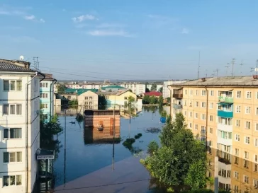 Фото: Кузбасс готов принять 140 пострадавших от паводка в Иркутской области детей 2
