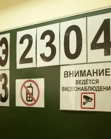 В Рособрнадзоре рассказали, когда стартует основной период сдачи ЕГЭ