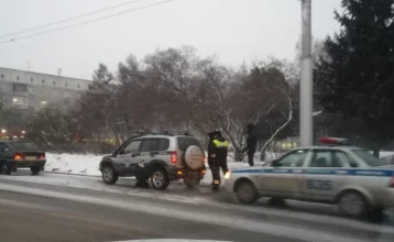 Фото: В Кемерове оштрафовали водителя автомобиля фейкового ведомства 1