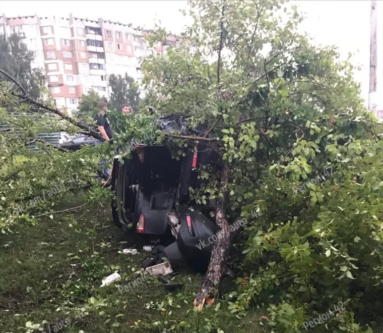 Фото: В Кемерове автомобиль врезался в дерево 2