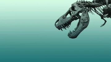 Фото: В США найдены останки утконосого динозавра 1