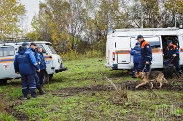 Фото: Волонтёры сообщили о завершении поисков 14-летней школьницы в Кузбассе 1