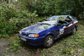Фото: В Кемерове сотрудник «Почты России» был в машине, когда на неё рухнуло дерево 1