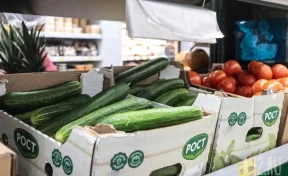 Огурцы, помидоры и апельсины: какие продукты резко подешевели за месяц в Кузбассе